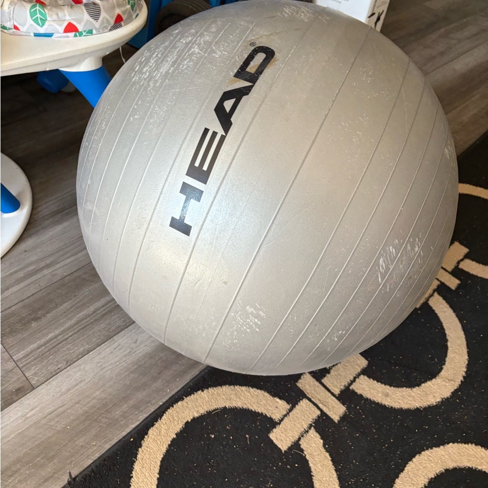 HEAD Metallic Gray Fitness Ball